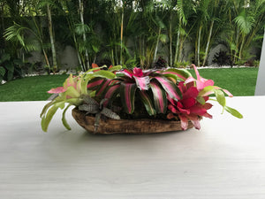 Bromeliads Flower Arrangement in Wood Bowl