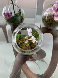 Orchids Esfera de Cristal